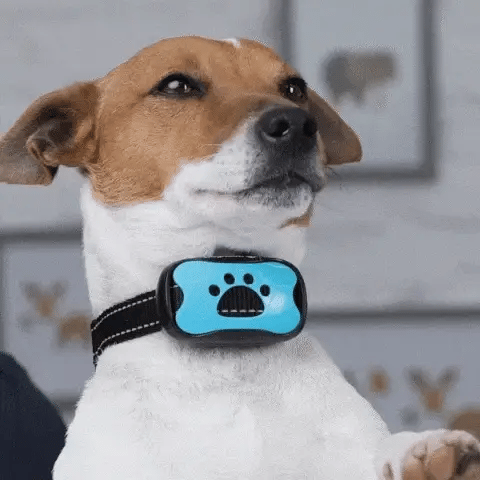 Tierfreundliches Anti-Bell Halsband