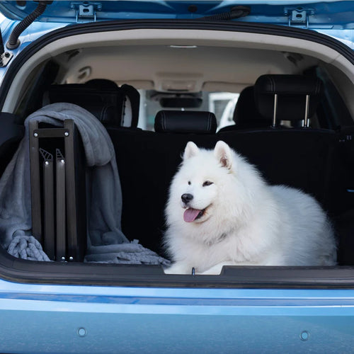 SilverStreaker | Pet Staircase