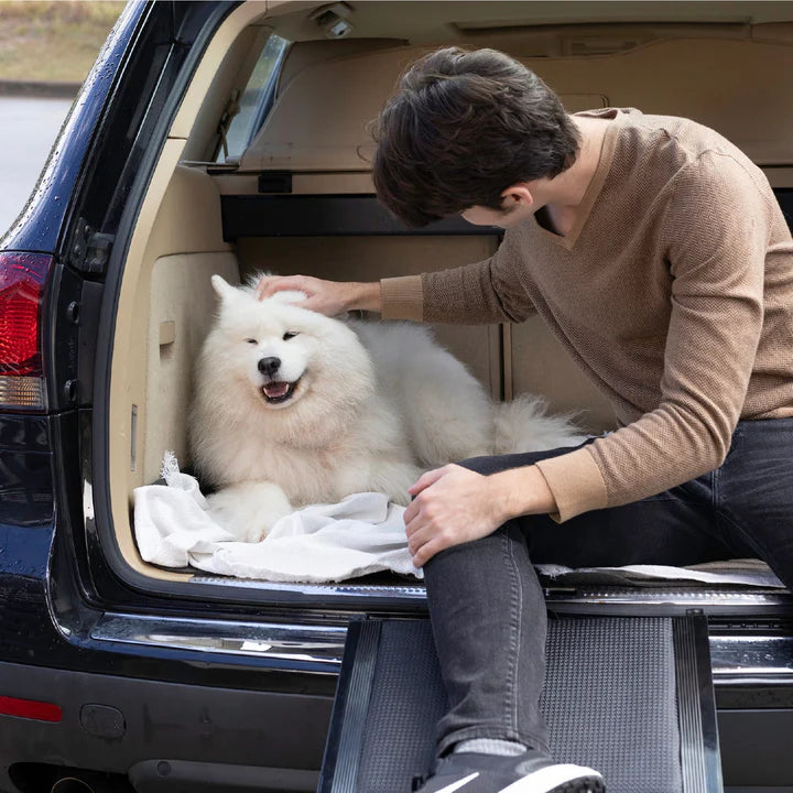 SilverStreaker | Pet Staircase