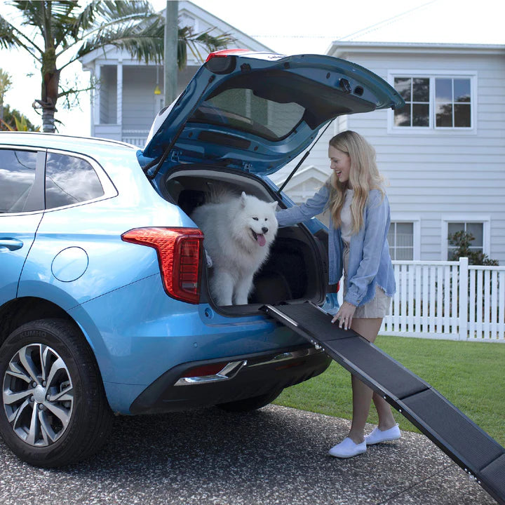 SilverStreaker | Pet Staircase